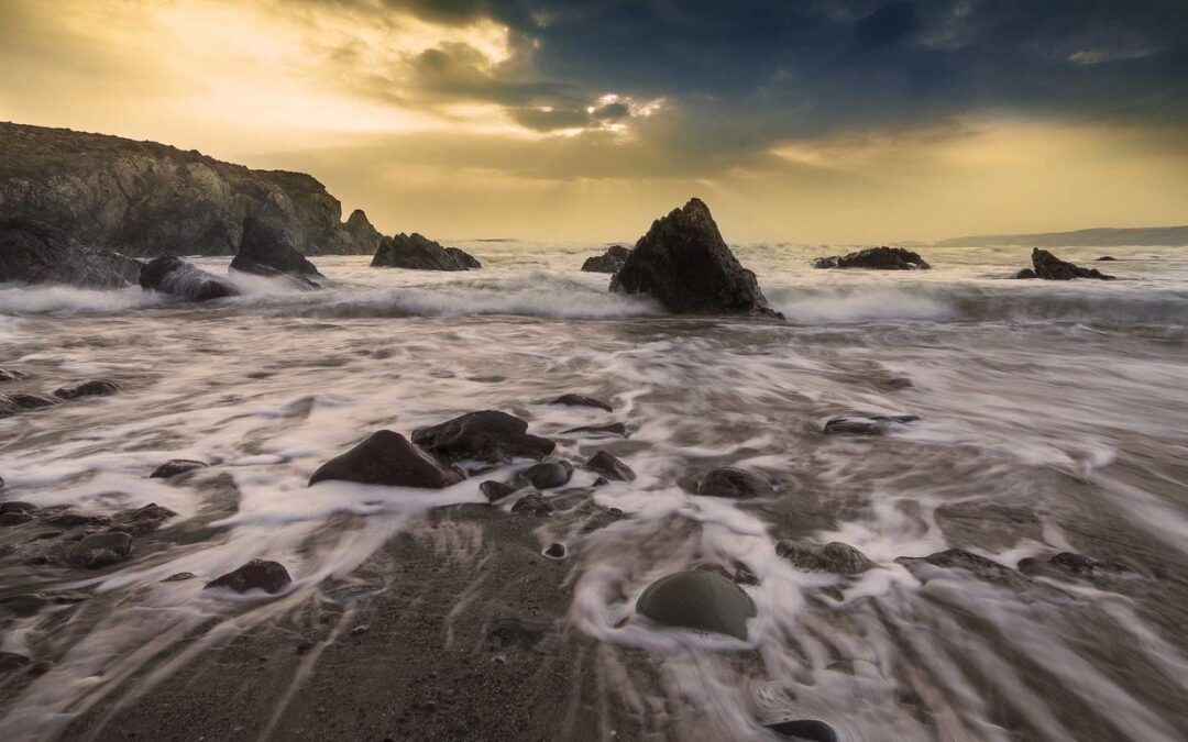 Ut sed est nihil cumque neque et